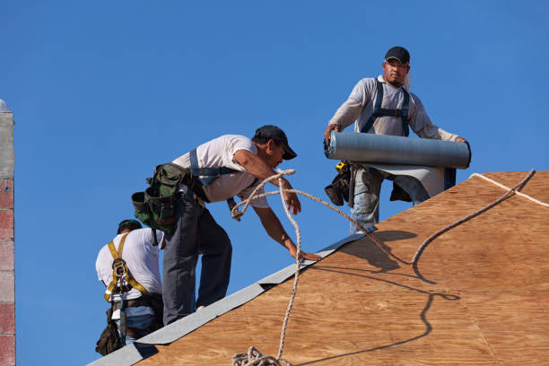 Best Roof Gutter Cleaning  in Somerset, MD