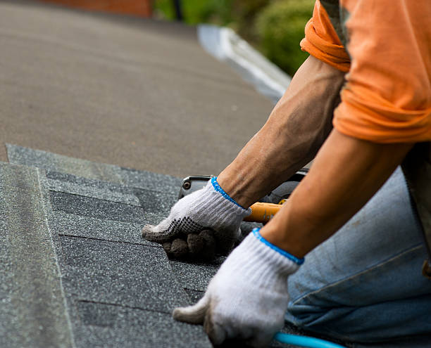 Best Metal Roofing Contractor  in Somerset, MD