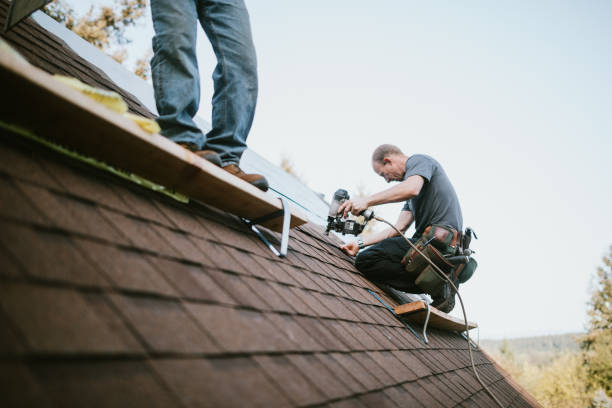 Roof Gutter Cleaning in Somerset, MD